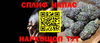 гашик Бузулук