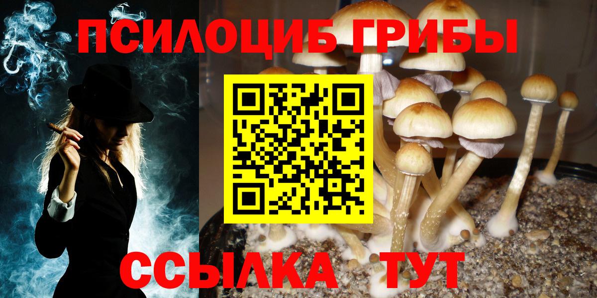Галлюциногенные грибы GOLDEN TEACHER Ростов Великий