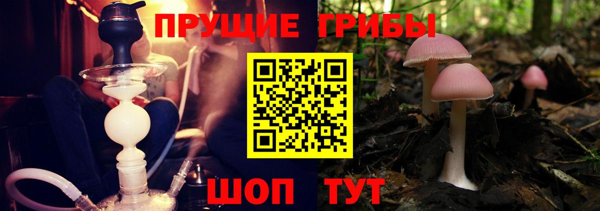Псилоцибиновые грибы ЛСД  Вход с VPN  Ростов Великий 