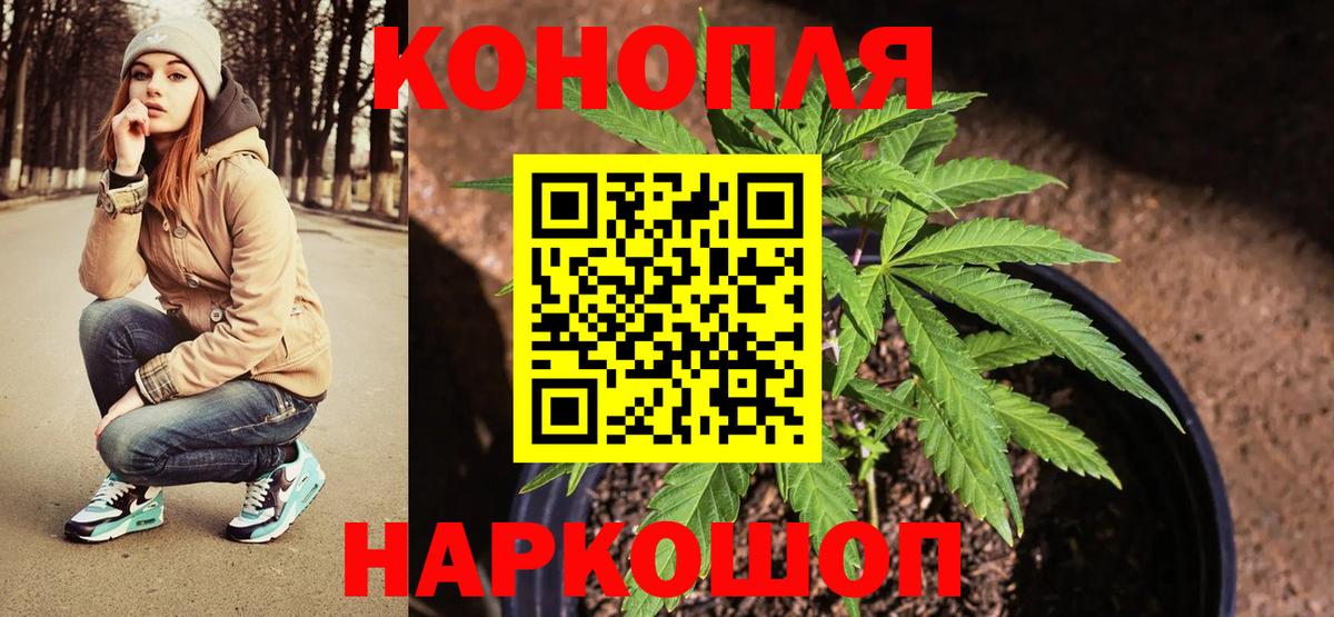 Каннабис индика Ростов Великий